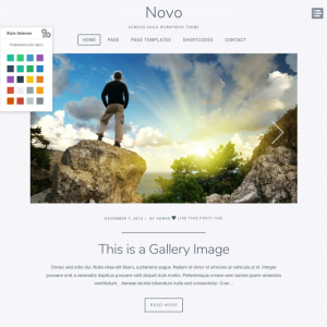 Novo Genesis Child WordPress Theme 1.2