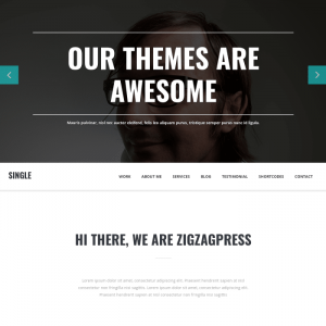 Single Genesis Child WordPress Theme 1.3.3